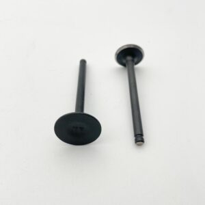 New Inlet & Exhaust Valves For Lifan 110cc