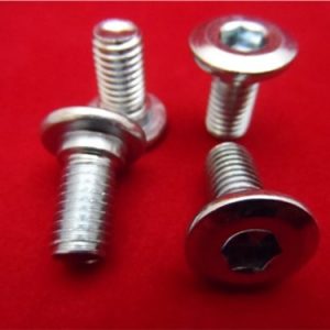 4 Disc Mounting Bolts (sdg discs)