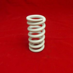 1000lbs DNM Spring, Fits MK-AR & Hornet shocks