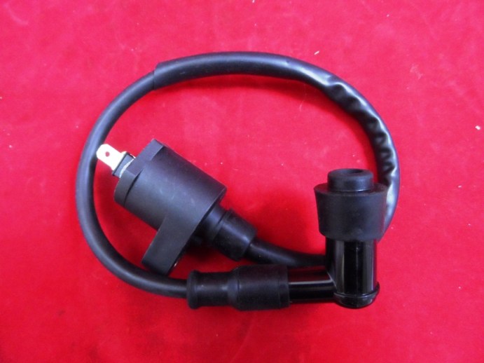 Standard Ignition Coil With Lead And Cap