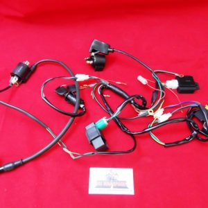 Complete Wiring Loom For Electric Start Pit Bikes